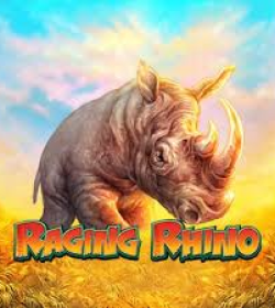 Raging Rhino